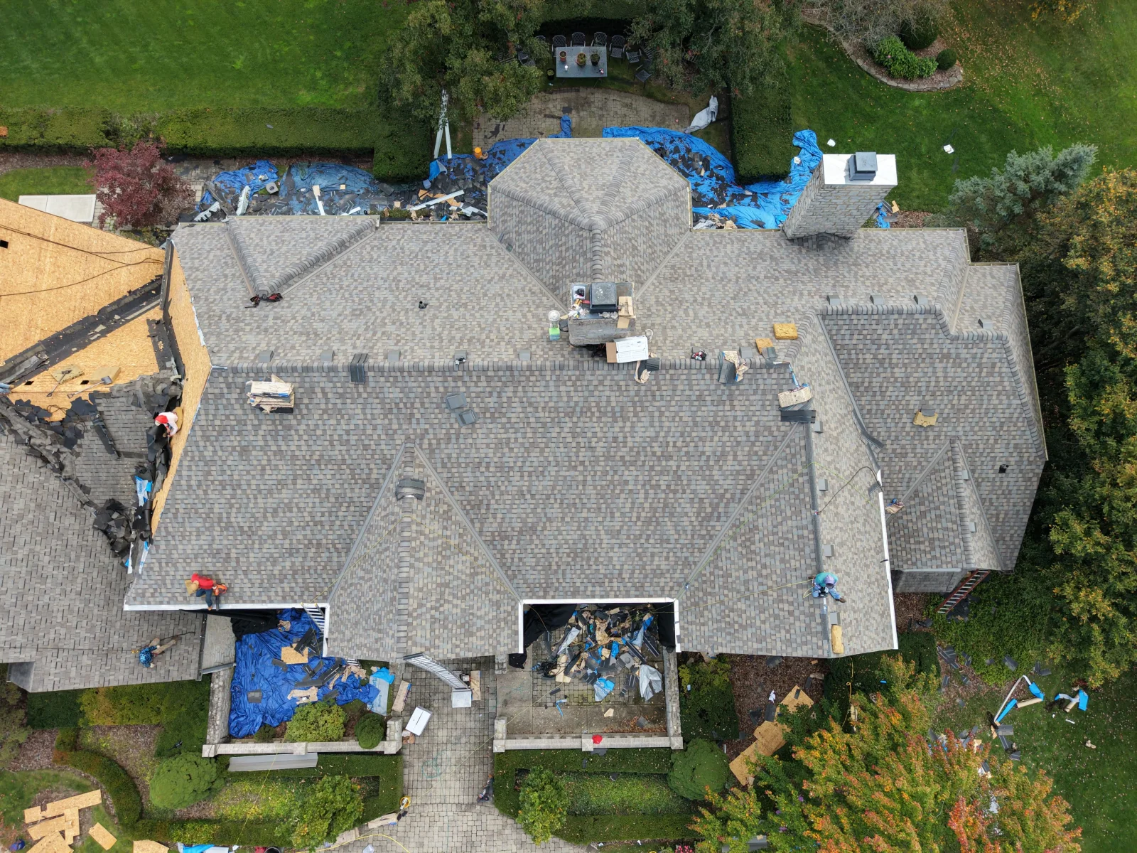 Aerial view of a roof replacement with gray architectural shingles, exposed plywood decking, and blue tarps over removed roofing